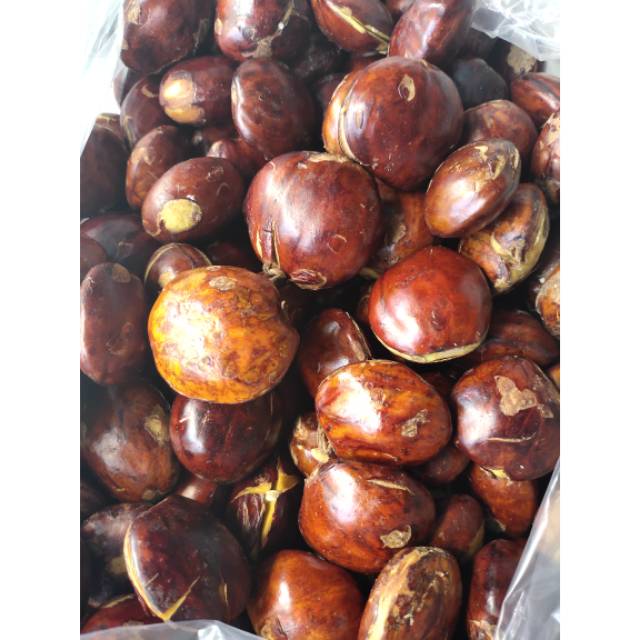 Jengkol 1 kg 55.000 | Shopee Indonesia