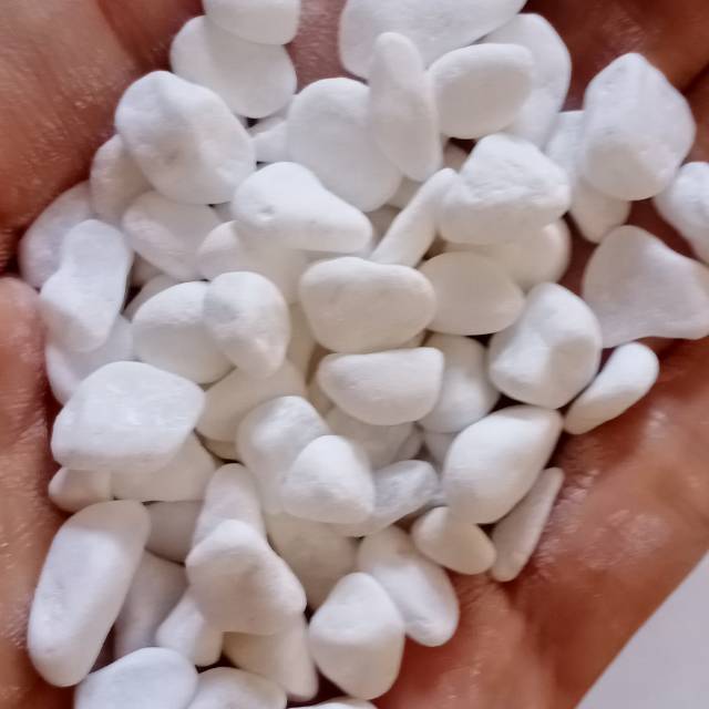 Batu koral putih, batu salju putih hiasan taman 1 kg | Shopee Indonesia