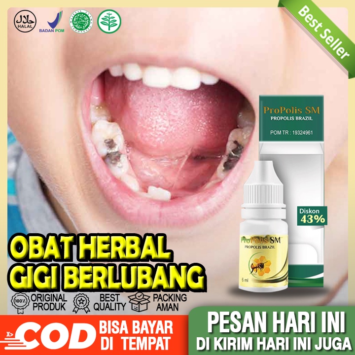 Beli minyak kutus kutus untuk sakit gigi terbaru di shopee. Harga Sakit Gigi Obat Terbaru September 2021 Biggo Indonesia