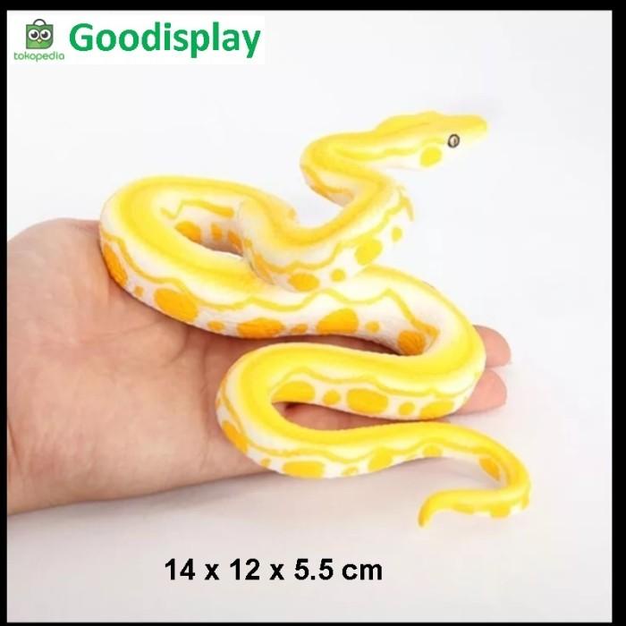 Beli ular albino online harga murah terbaru 2022 di tokopedia! Harga Hewan Ular Albino Terbaru Mei 2022 Biggo Indonesia