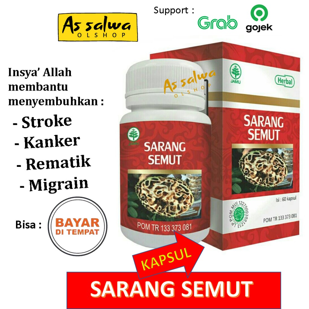 Jual Kapsul Ekstrak Sarang Semut Papua Asli HIU 60 Kapsul Indonesia|Shopee  Indonesia