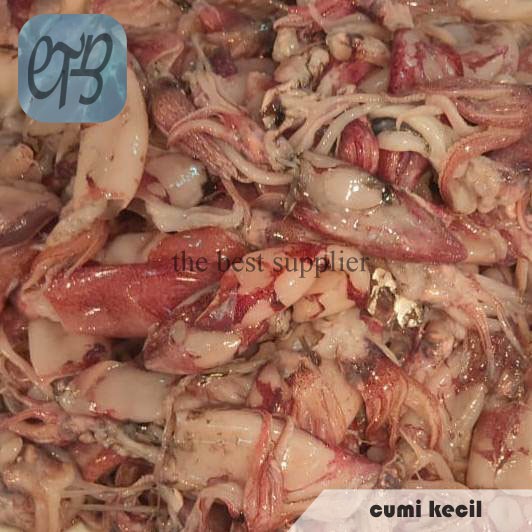 Harga Cumi Segar Kecil Terbaru Oktober 2021 | BigGo Indonesia