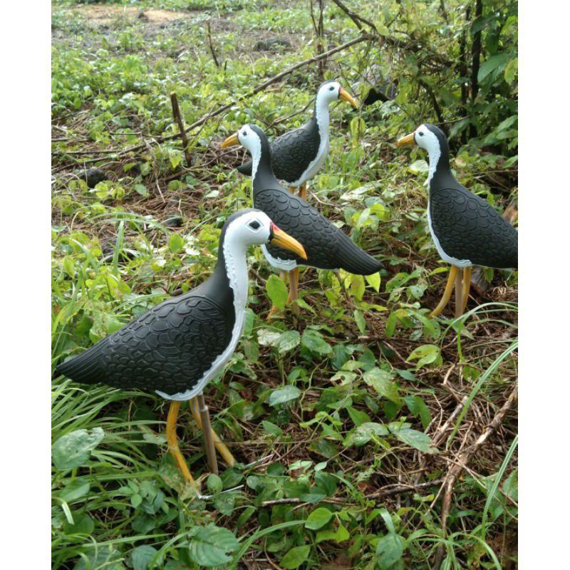 Download now suara pikat burung ruak ruak for android apk download. Harga Patung Burung Ruak Terbaru Oktober 2021 Biggo Indonesia