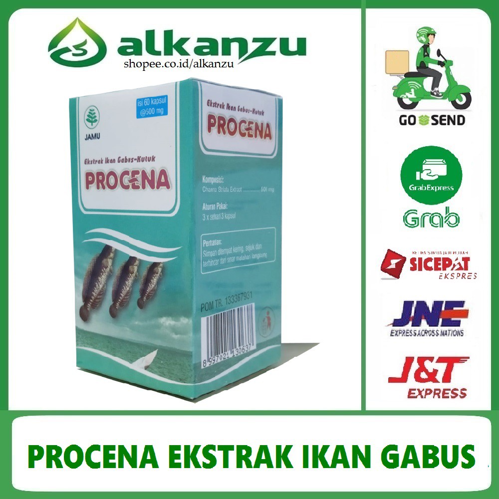 Hal ini didasari oleh ikan gabus yang memiliki bentuk kepala yang mirip ular, tubuh memanjang, dan warna yang gelap. PROCENA EKSTRAK IKAN GABUS 60 KAPSUL | Shopee Indonesia
