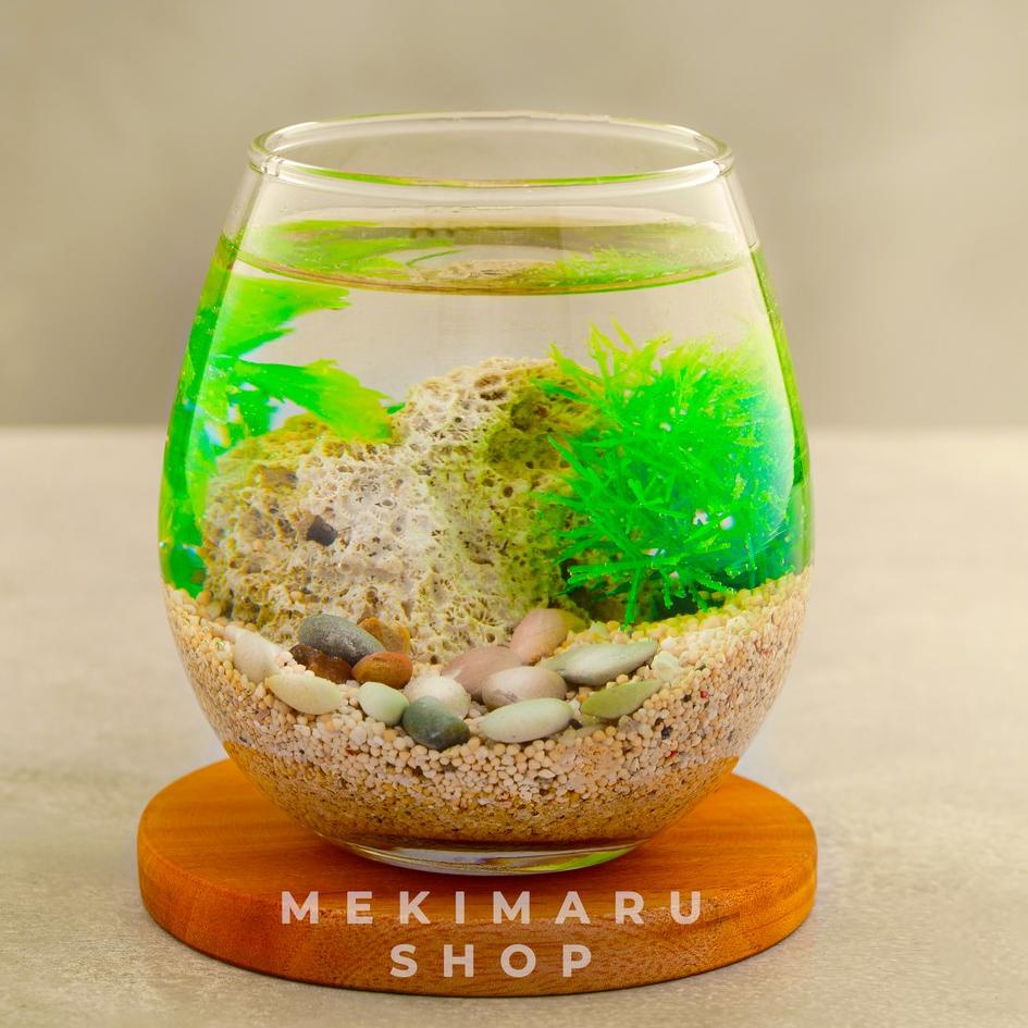 Selain itu, biasanya, akuarium dari kaca juga memiliki harga yang . Harga Aquarium Bulat Kaca Ikan Cupang Terbaru November 2021 Biggo Indonesia