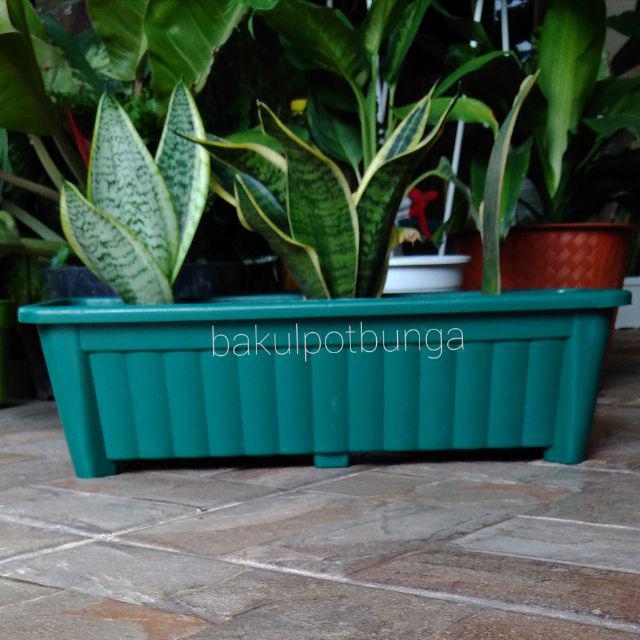 Pot Bunga Panjang Persegi Hijau dan Coklat Minimal Order 3Pcs | Shopee  Indonesia