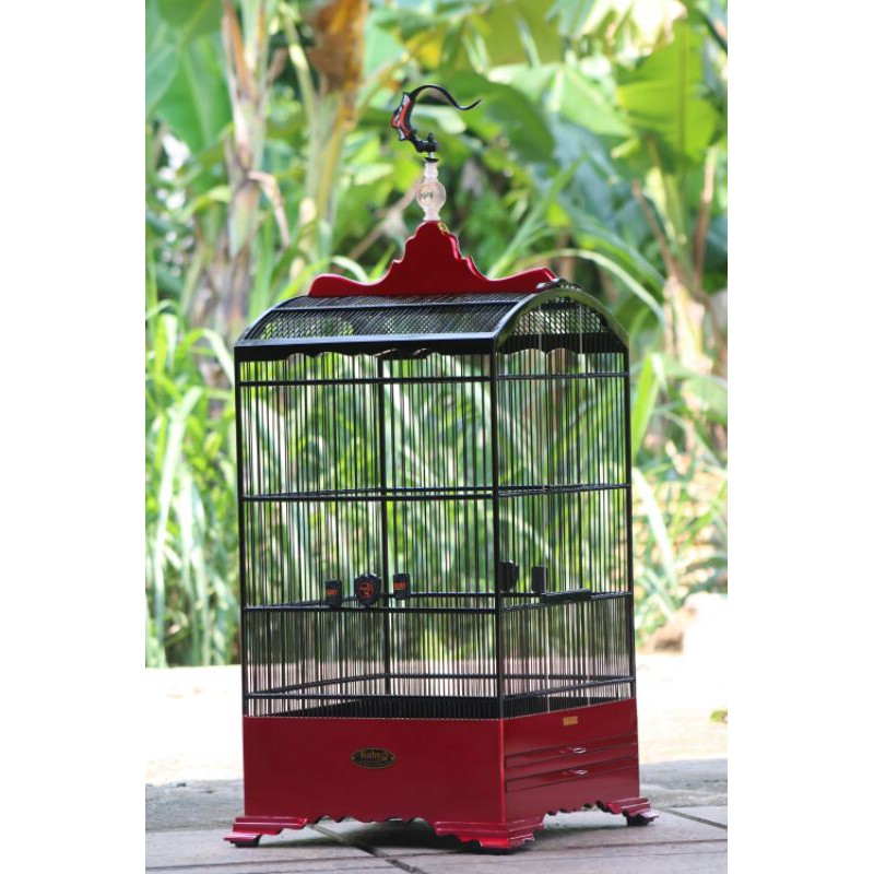 Info jual sangkar kosan ± mulai rp 8.500 murah dari beragam toko online. Sangkar Kosan Kuby Shopee Indonesia