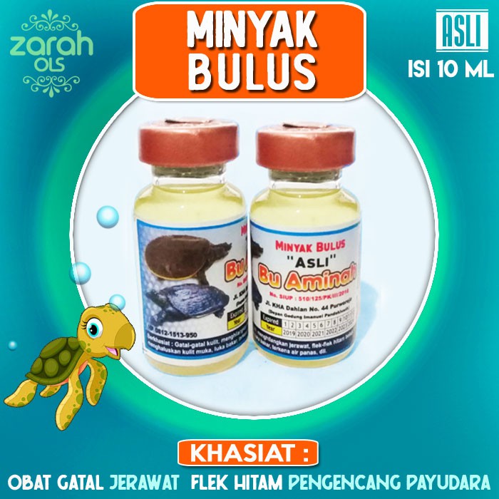 Untuk mendapatkan manfaat minyak bulus ini, anda bisa mengoleskan . Jual Minyak Bulus Pengencang Payudara Obat Kulit Obat Jerawat Ampuh Indonesia Shopee Indonesia
