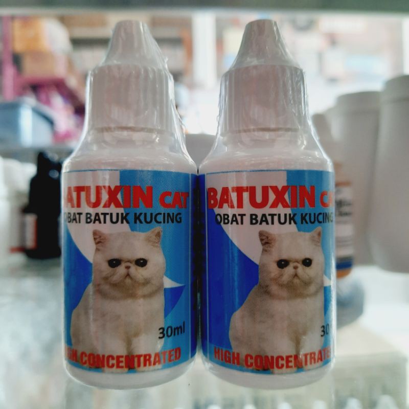 Kondisi ini dapat membuat kamu sulit bernapas, batuk, mengeluarkan suara siulan (mengi) saat bernapas, dan sesak napas. Harga Sesak Nafas Kucing Terbaru November 2021 Biggo Indonesia