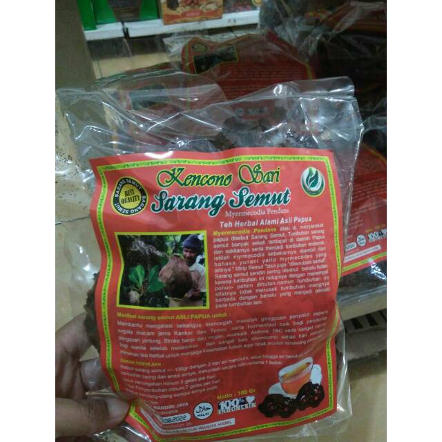 Jual Sarang Semut Rebus Asli Papua 100 gr Indonesia|Shopee Indonesia