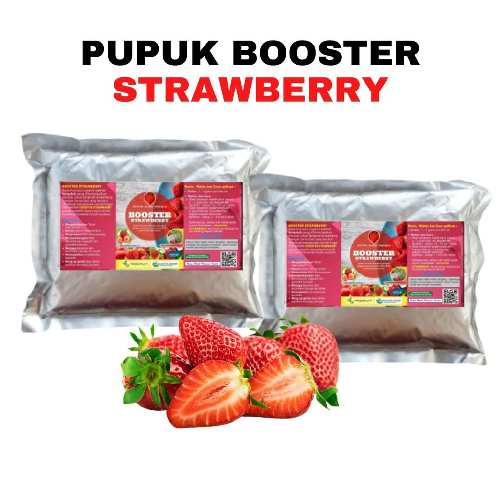 · gunakan media tanah gembur berkompos dan . Pupuk Strawberry Pupuk Strawberry Stroberi Cepat Berbuah Shopee Indonesia