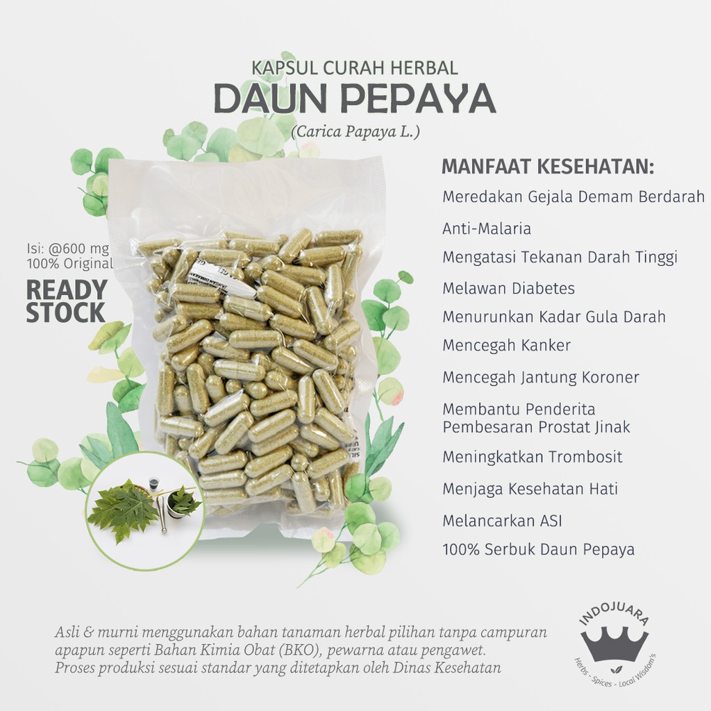 Kenali 5 manfaat luar biasa dari daun pepaya yang dapat menjadi obat demam berdarah. Daun Pepaya 100 Kapsul Curah Herbal Demam Berdarah Malaria Anti Aging Jerawat Eksema Tukak Lambung Shopee Indonesia