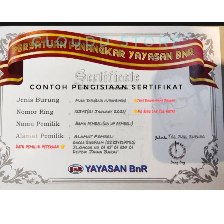 Pakan jahat anti macet segala jenis burung kenari berkualitas. Ring Murai Batu Bnr Sertifikat Yayasan Bnr Mb Resmi Shopee Indonesia