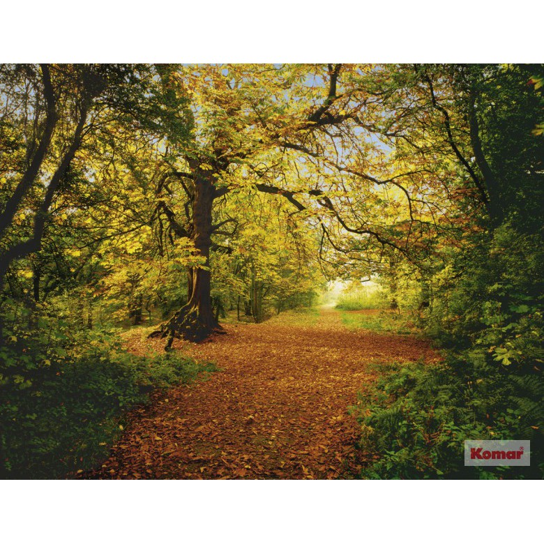 Jual Photomural Komar Jerman Photowall Wallpaper Pemandangan Hutan 8-068 Indonesia|Shopee Indonesia 780_X_780_jpg