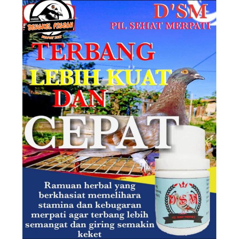 Dikesempatan malam ini, kacer.co.id akan memberikan tips seputar jamu merpati, bagaimana sih cara meraciknya dengan menggunakan bahan alami . Jual Jamu Suplemen Vitamin Doping Pil Sehat Merpati Dsm Khusus Burung Dara Merpati Lomba Kolongan Indonesia Shopee Indonesia