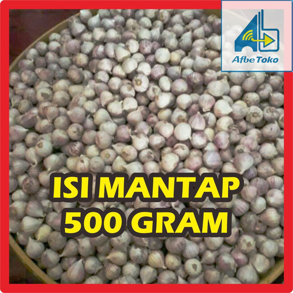 Bawang Putih Lanang Tunggal STAMINA PRIA WANITA 500 GRAM - 1 / 2 KG - 5 ons  Lelaki Hor mon Sehat | Shopee Indonesia