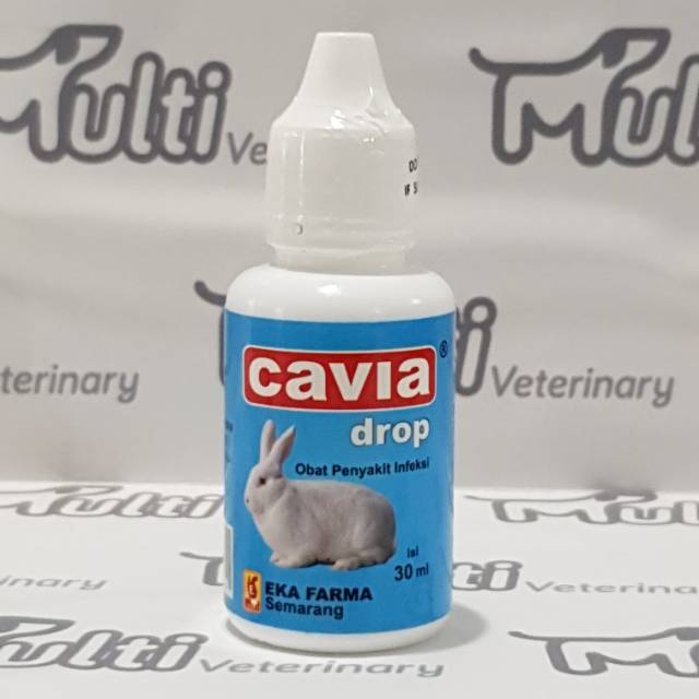 Pasti anda menjadi resah dan ingin tahu penyebab dan cara mengobati kelinci mencret. Cavia Drop 30ml Obat Kelinci Mencret Flu Demam Eka Farma Shopee Indonesia