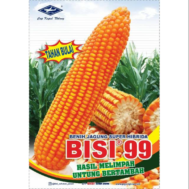 Benih bibit jagung hibrida nk 7328 sumo 1 kg syngentarp110.000: Jual Benih Jagung Hibrida Bisi 99 Indonesia Shopee Indonesia