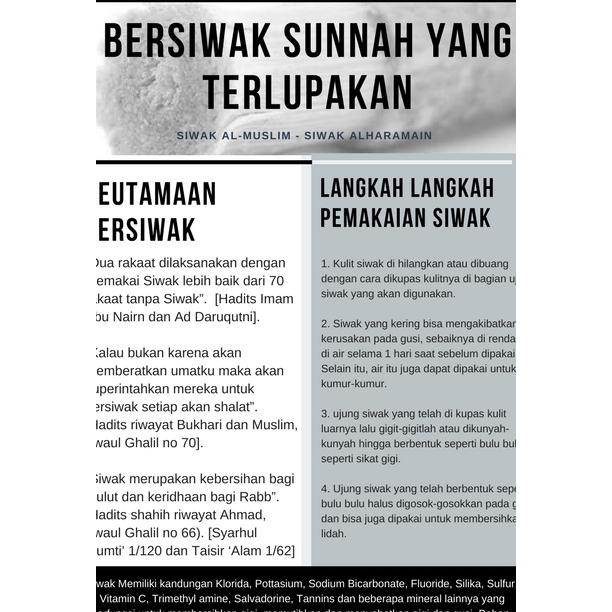 Jual TERBUKTI AMAN SIWAK PLUS HOLDER Indonesia|Shopee Indonesia