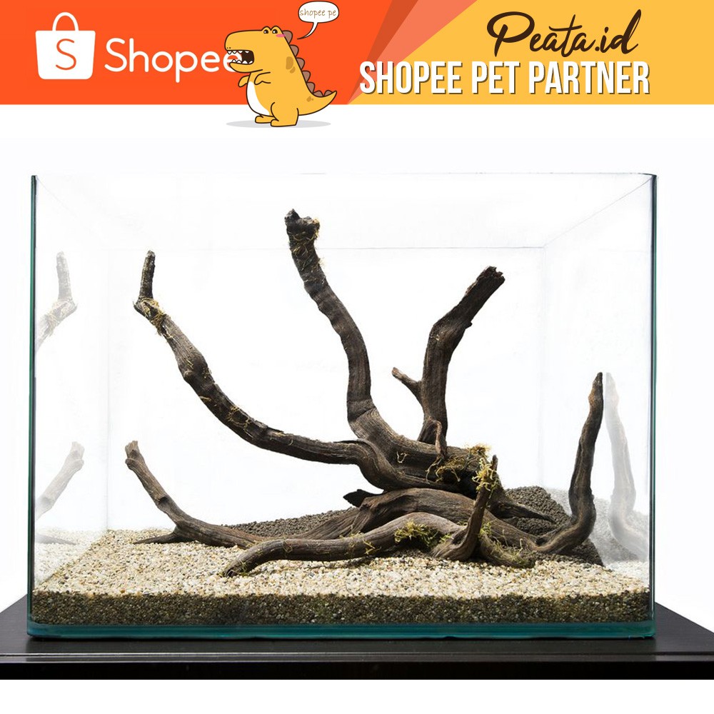 Cara membuat aquascape mini sederhana tapi indah. Aquarium Aquascape Harga Terbaik Hobi Koleksi Oktober 2021 Shopee Indonesia