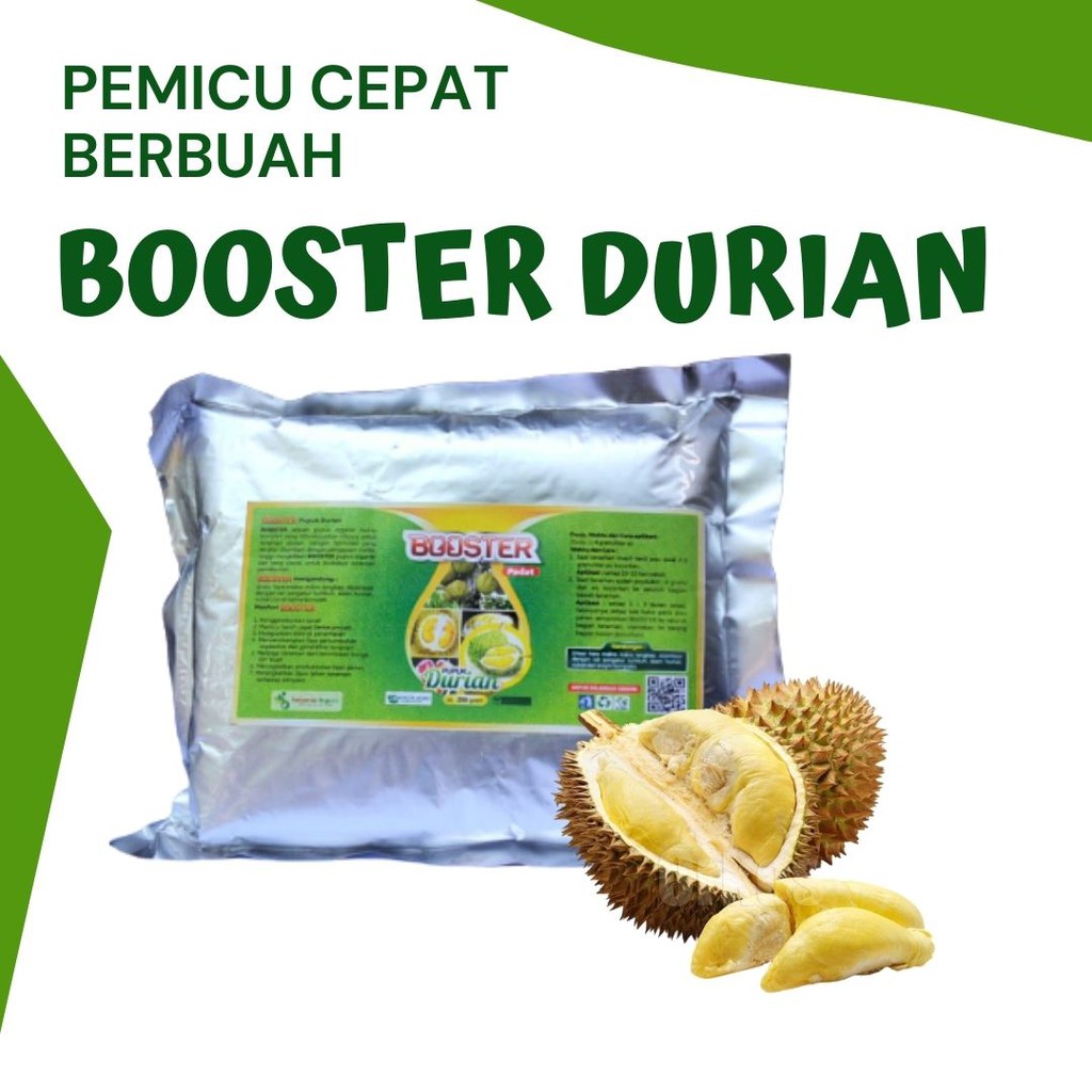 Durian musangking kaki 3 by jkristopo_1. Pupuk Booster Durian Montong Pupuk Durian Baru Tanam Pupuk Durian Agar Cepat Besar Pupuk Buah Pupuk Bibit Durian Shopee Indonesia