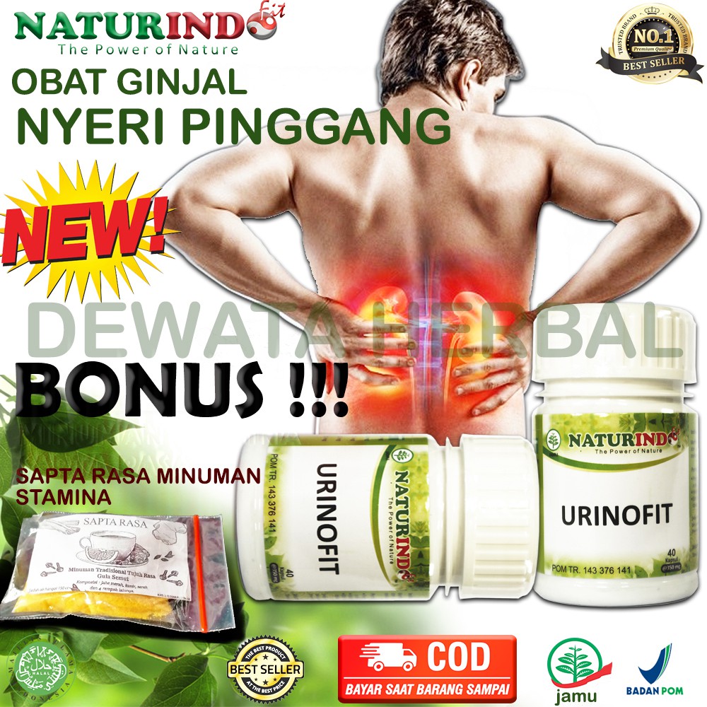 Batu ginjal tidak sama dengan batu kandung kemih, karena proses pembentukannya berbeda. Obat Herbal Sakit Saluran Kencing Batu Ginjal Prostat Pinggang Urinofit Naturindo Herbal Ampuh Shopee Indonesia