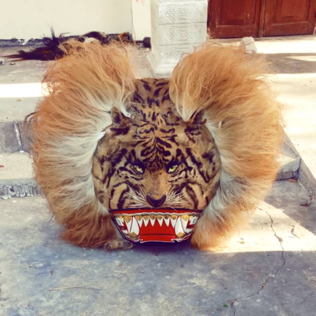 Inilah yang disebut dhadhak merak, sebuah barongan khas reyog ponorogo yang beratnya mencapai lebih 40 kg. Barongan Reog Shopee Indonesia