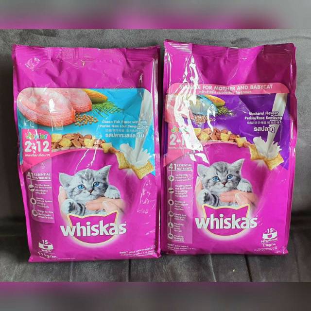 Whiskas Junior 1.1kg - Makanan Anak Kucing 2-12 Bulan Makanan Indukan Menyusui  Makanan Kucing Hamil | Shopee Indonesia