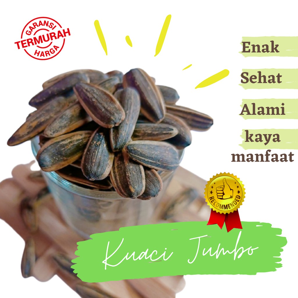 Kuaci adalah biji bunga matahari yang rasanya gurih dan sedikit manis. Kuaci Bunga Matahari Jumbo Kwaci Seperti Kuaci Rebo Cemilan Diet Cemilan Sehat 400 Gr Rasa Originale Shopee Indonesia