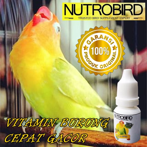 Cek harga sepasang lovebird marimas di priceza.co.id. Jual Nutrobird Vitamin Burung Lovebird Ngekek Panjang Penambah Stamina Burung Kicau Anti Stres Mabung Indonesia Shopee Indonesia