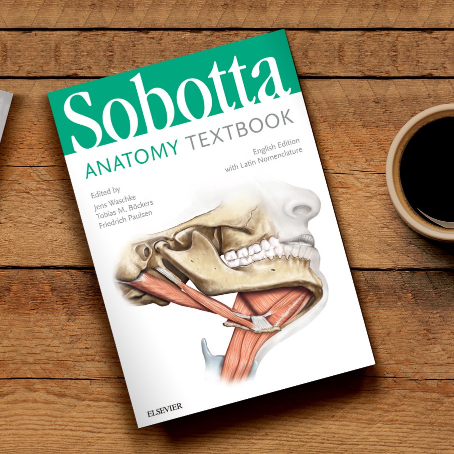 In 1889 the anatomical society of germany appointed a commission to prepare a revised nomenclature—one which was finally adopted by the society when it met at . Jual Sobotta Anatomy Textbook With Latin Nomenclature Shopee Indonesia