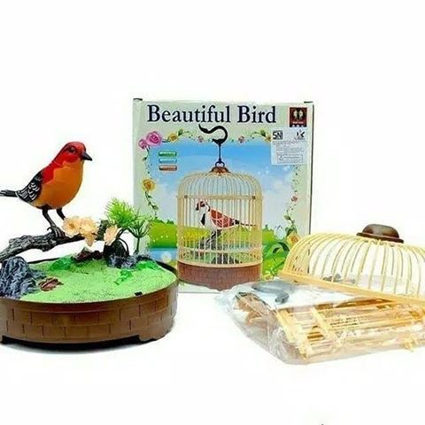 Mainan Burung Dalam Sangkar Sensor Suara Mainan Anak Burung Bersuara Sensor  | Shopee Indonesia