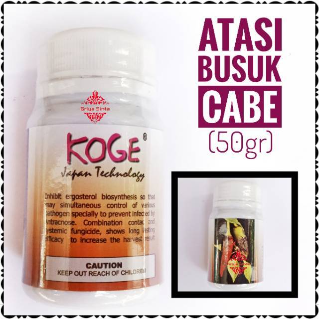 Sebelumnya, saya pernah mencoba untuk membungkus jambu agar tak busuk dan berisi ulat. Jual Obat Pertanian Koge 50gr Obat Anti Busuk Pada Cabe Indonesia Shopee Indonesia