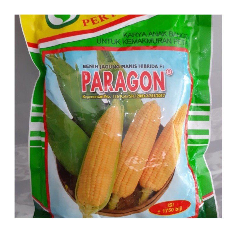Jagung manis hibrida, tanaman seragam, tinggi sedang, tongkol seragam,. Bibit Benih Jagung Manis Paragon Hibrida F1 Isi 1 750 Butir Shopee Indonesia