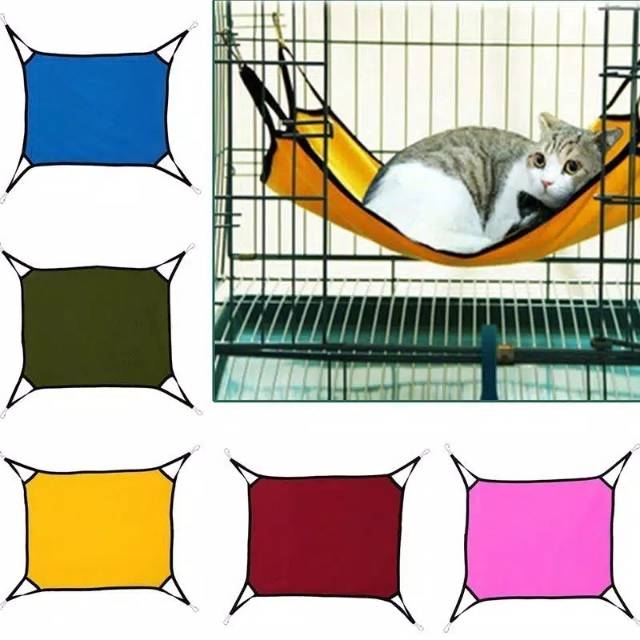 98 jenis kucing peliharaan lengkap dengan deskripsi dan gambar . 25+ Gambar Kartun Kucing Dibawah Meja - Kumpulan Kartun HD