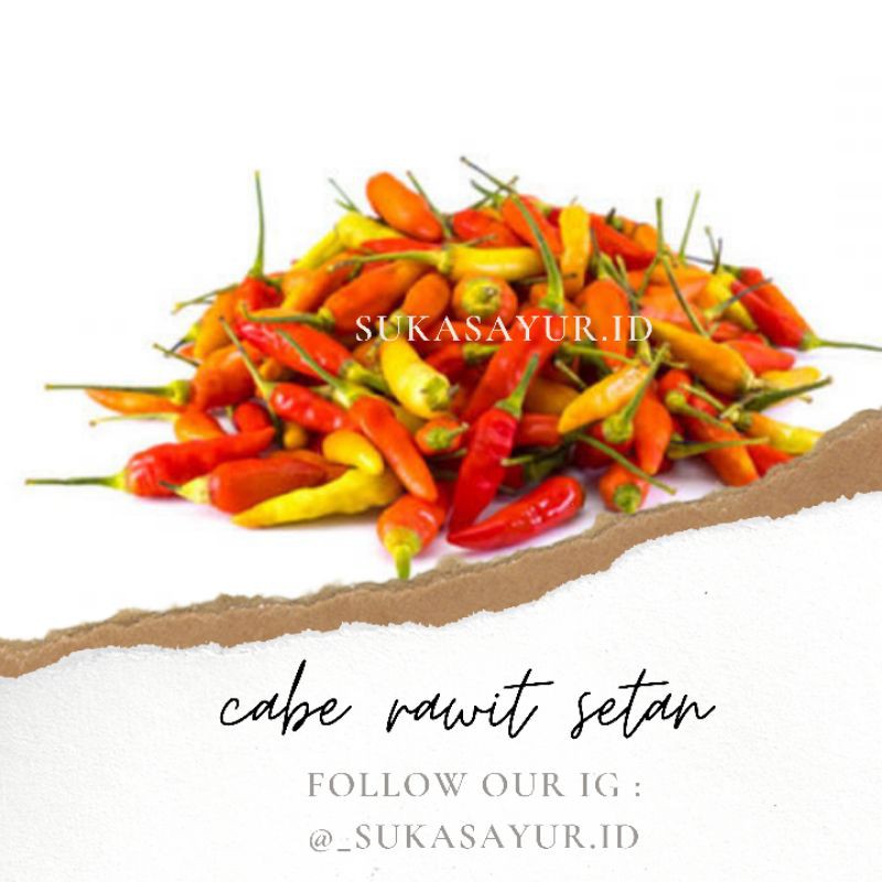 123 resep cabe rawit merah cabe setan ala rumahan yang mudah dan enak dari komunitas memasak. Cabe Rawit Setan Shopee Indonesia