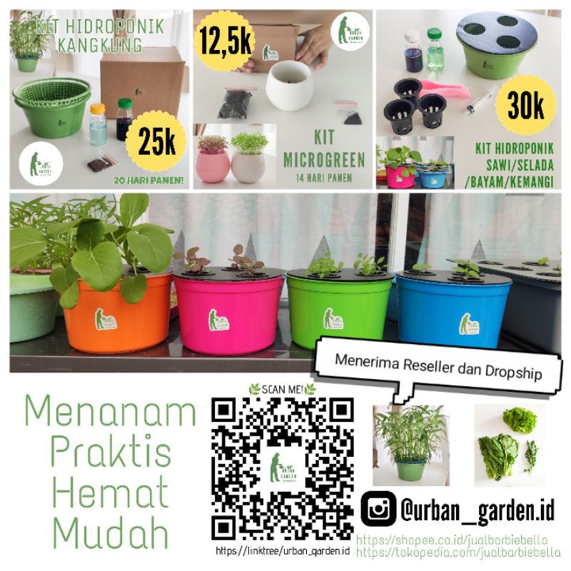 Kit/Paket/Set Menanam/Berkebun Hidroponik Kangkung Pemula Praktis benih  hampers parcel | Shopee Indonesia