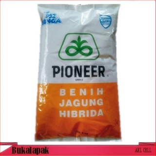 Benih jagung pioneer varietas p32 di desa kuala, kecamatan tigabinanga,. Benih Jagung Hibrida Pioneer Brand P21 Dahsyat Bibit Jagung Terbaik Rp159 000