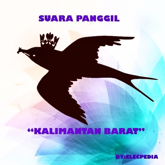 You can streaming and download for free here! Suara Walet Kalimantan Barat Suara Inap Suara Panggil Suara Tarik Original Walet Shopee Indonesia