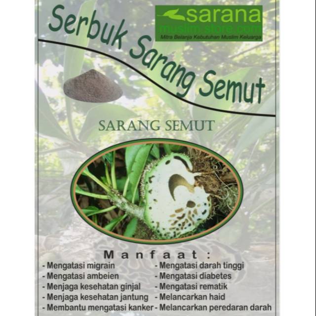 Jual Serbuk Bubuk Sarang Semut Papua Kemasan 250gr Asli Atasi Kanker Tumor  dll !! Indonesia|Shopee Indonesia