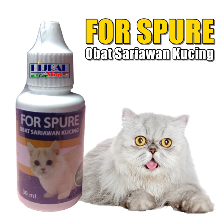 Masalah gusi bengkak pada kucing biasanya disebabkan oleh periodontitis, yang terjadi pada kucing dan menyebabkan gusi kucing berdarah dan . Jual Obat Kucing Obat Sariawan Kucing Obat Herbal Kucing Mengatasi Sariawan Pada Kucing Bau Mulut Radang Gusi Kucing Bengkak For Spure Natural Antiseptic Kemasan Tetes 30ml Hijrah Pet Shop Indonesia Shopee