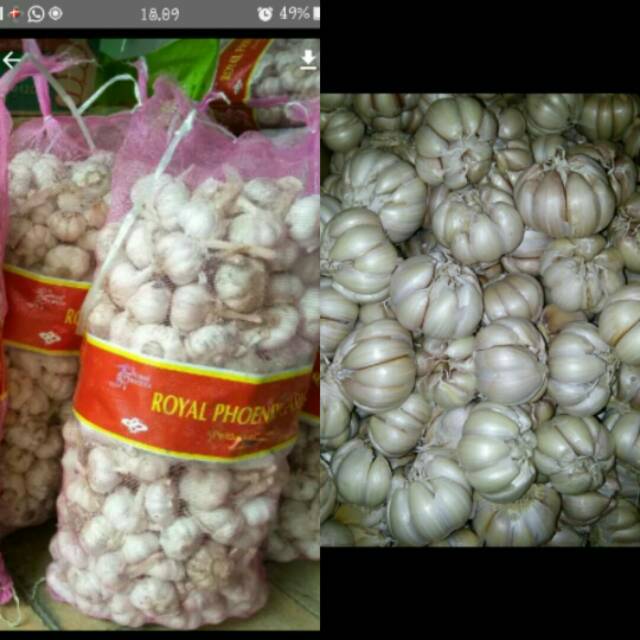 Jual Bawang Putih Honan KOTOR per 1 kg Indonesia|Shopee Indonesia