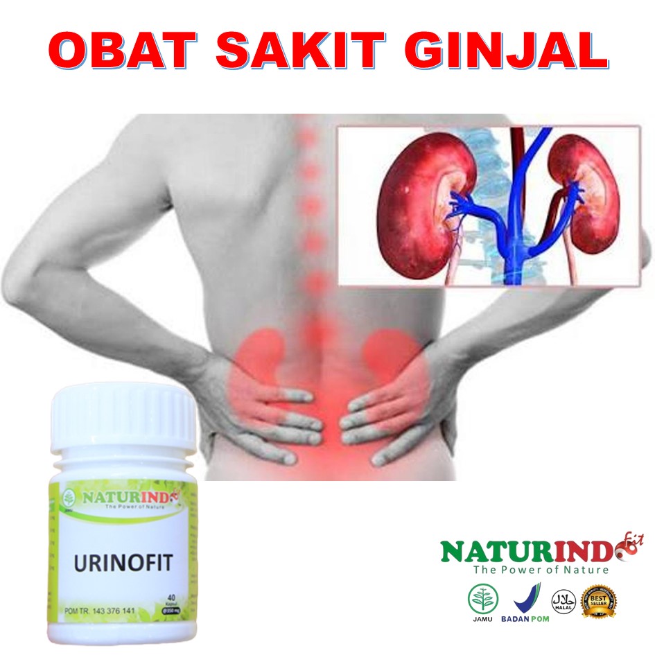 10 gejala awal penyakit ginjal ini perlu diwaspadai · 1. Jual Obat Sakit Ginjal Batu Ginjal Perawatan Ginjal Infeksi Ginjal Gejala Gagal Ginjal Ampuh Indonesia Shopee Indonesia