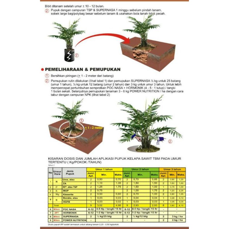 Sebaiknya diayak dan dicampur dengan pupuk merokerock secara merata . Jual Pupuk Kelapa Sawit Untuk 1 Hektar Meningkatkan Hasil Panen Otomatis Jadi Agen Pupuk Sawit Indonesia Shopee Indonesia