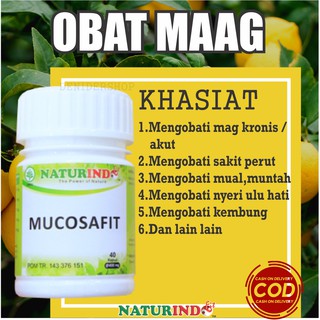 Meredakan mual sebenarnya bisa dilakukan sendiri dengan treatment alami, tanpa perlu mengonsumsi obat ataupun ke dokter. Obat Asam Lambung Naik Gerd Kronis Tungkak Lambung Sakit Perut Mual Muntah Paling Ampuh Mucosafit Shopee Indonesia