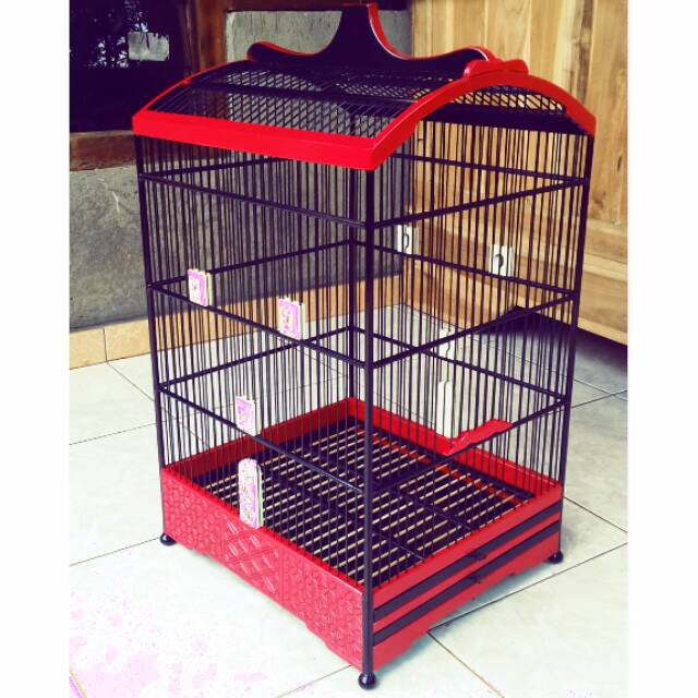 Ada beberapa hal yang harus diperhatikan seperti keamanan kandang dan jenis burung yang akan dipelihara. Sangkar Burung Ukuran 37 X 41 Warna Costom Sesuai Selera Shopee Indonesia