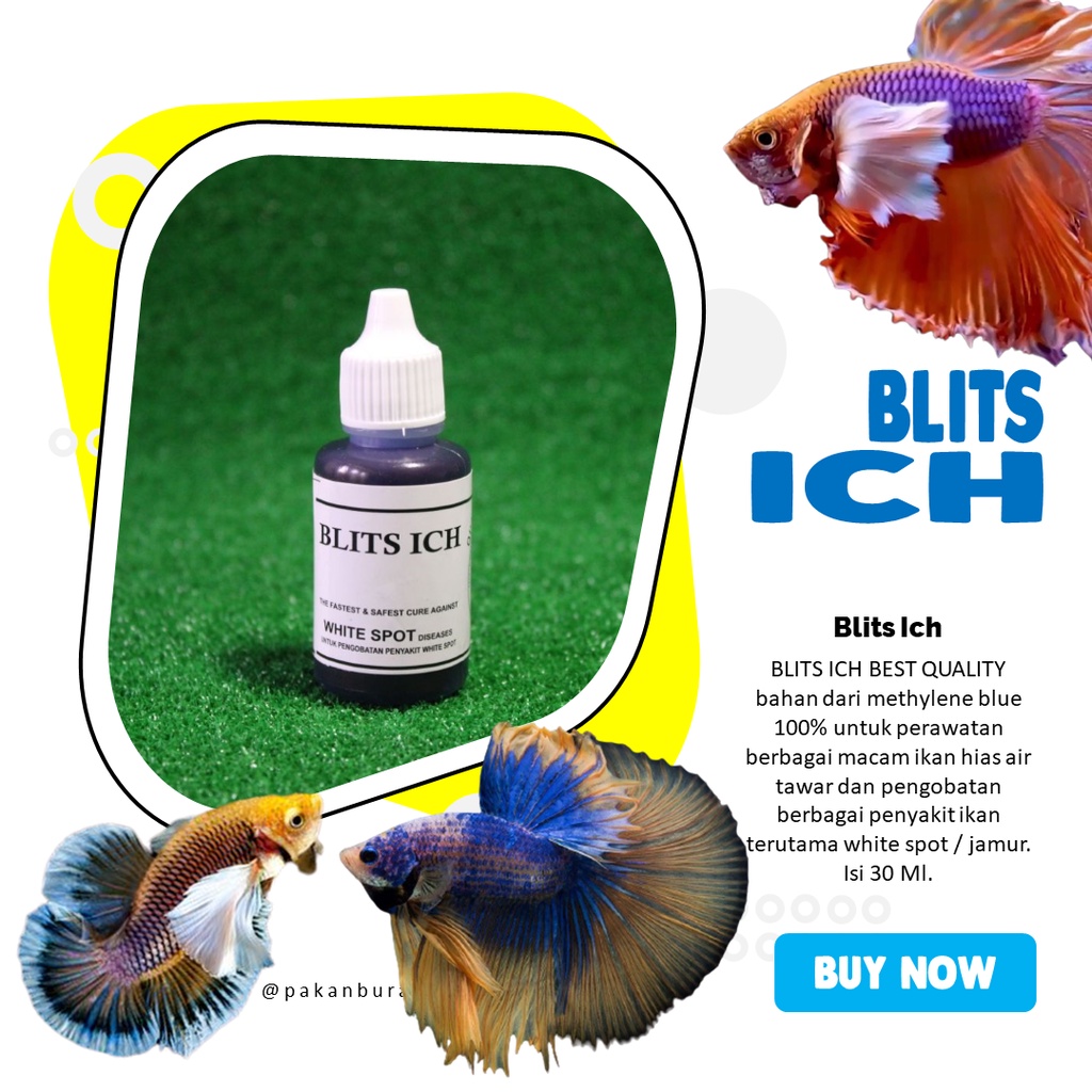 Multiple ich cells of similar size. Blits Ich 30 Ml Obat Biru Obat White Spot Pada Ikan Shopee Indonesia