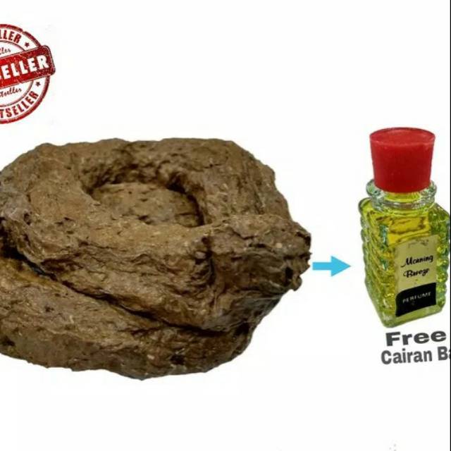 Shit Prank Tai Mainan Tai Eek Jerk Plus Parfum Bau Tai Bau | Shopee  Indonesia