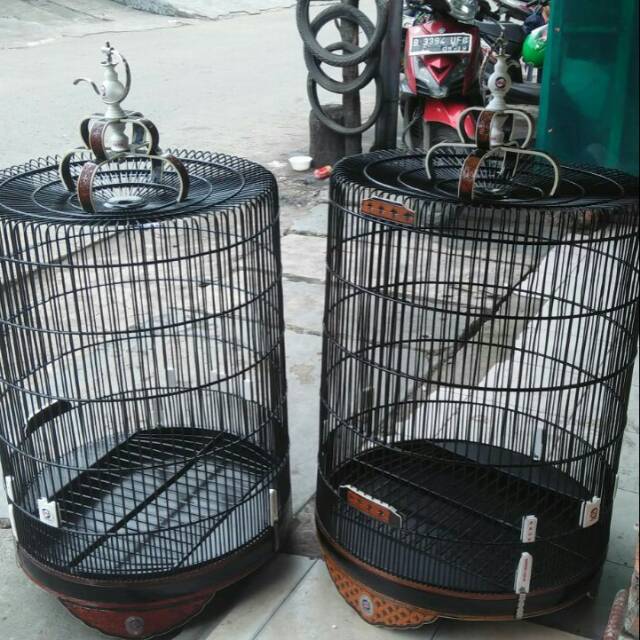 Sangkar kandang burung kotak tiang . Sangkar Burung Murai Ebod Jaya No 2 Shopee Indonesia