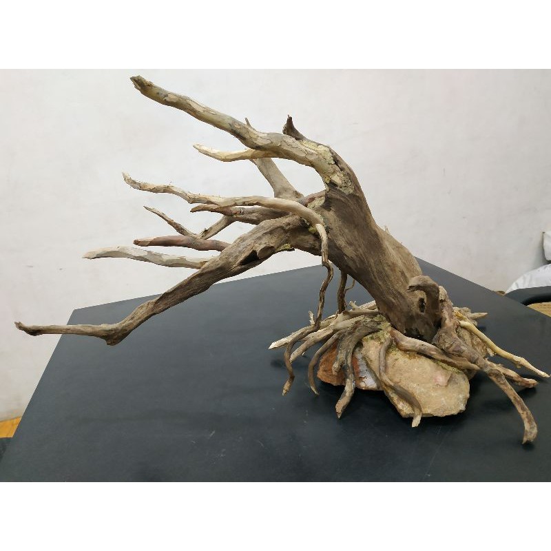 Harga akar kayu senggani untuk aquascape hardscape bonsai aquarium per ikat. Hardscape Kayu Aquascape Shopee Indonesia